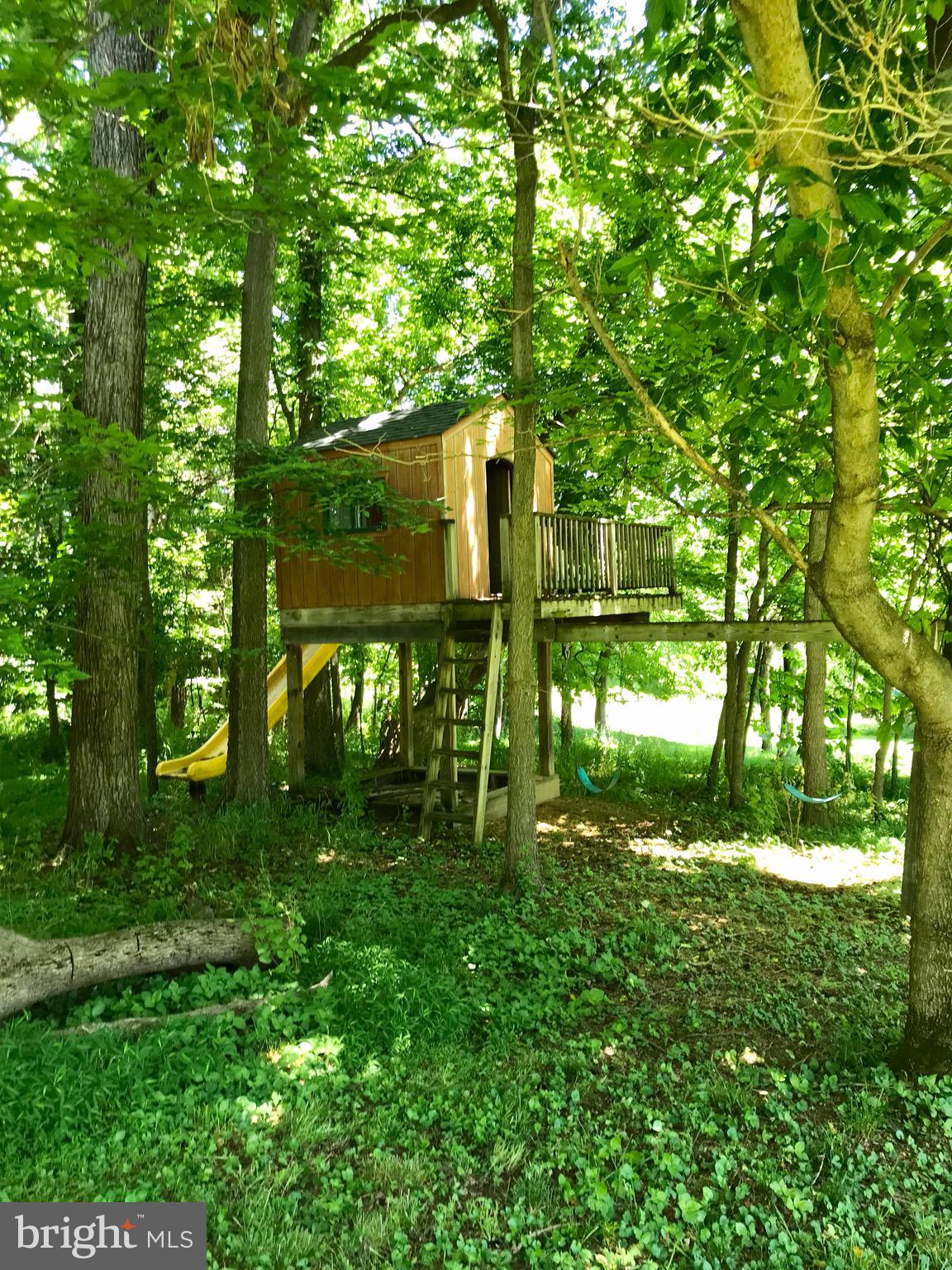 289 Rabbits Rest Lane Shepherdstown, WV 25443 - Photo 13 of 57 Treehouse! Complete with electricity.
