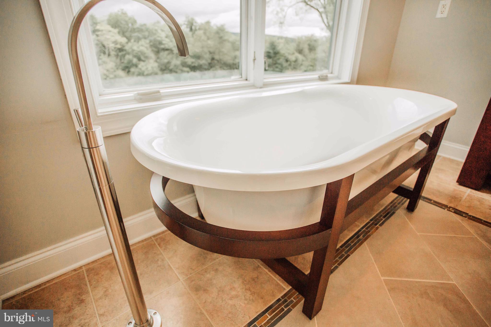 289 Rabbits Rest Lane Shepherdstown, WV 25443 - Photo 36 of 57 Soaking tub with views of the mountains.