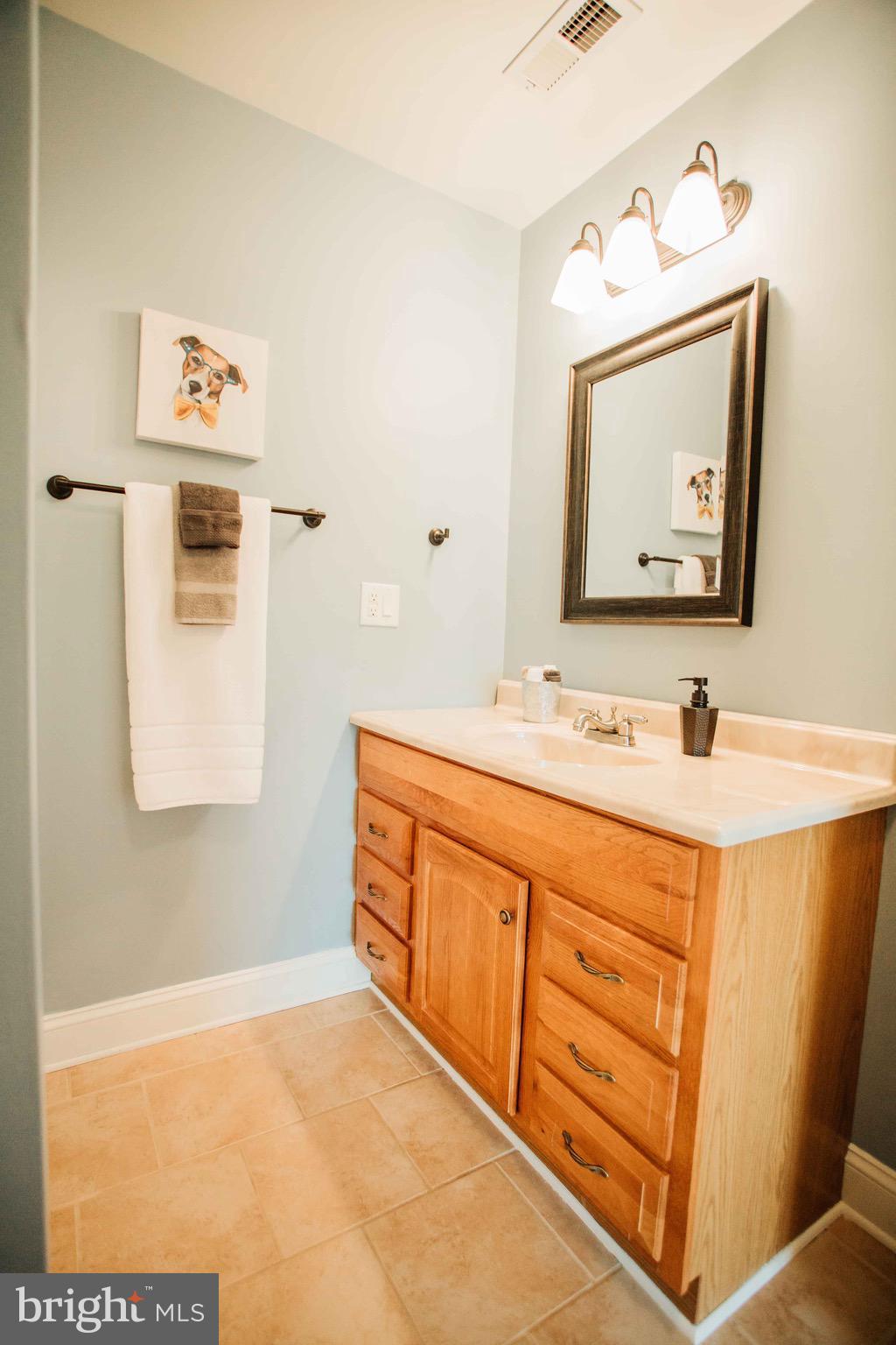 289 Rabbits Rest Lane Shepherdstown, WV 25443 - Photo 40 of 57 En Suite Bath for Bedroom 2