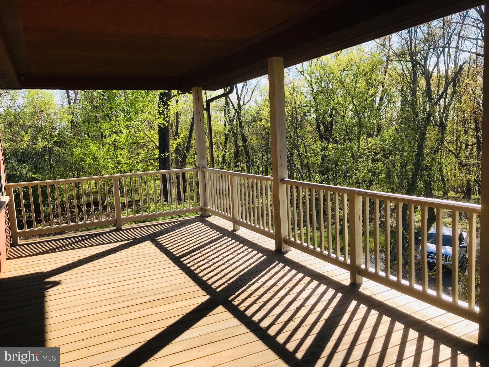 289 Rabbits Rest Lane Shepherdstown, WV 25443 - Photo 47 of 57 Or come out on beautiful mornings......