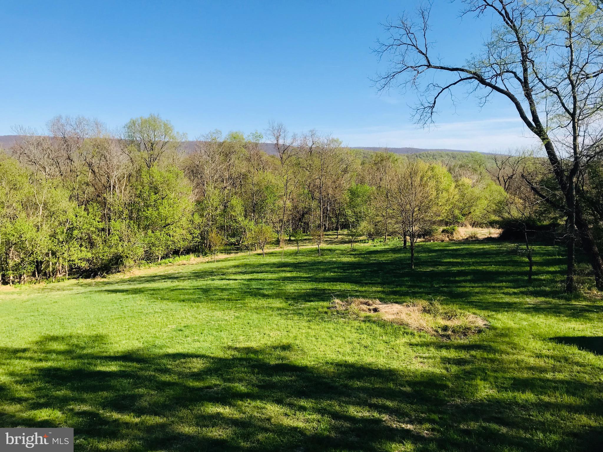 289 Rabbits Rest Lane Shepherdstown, WV 25443 - Photo 53 of 57 Mountain views galore