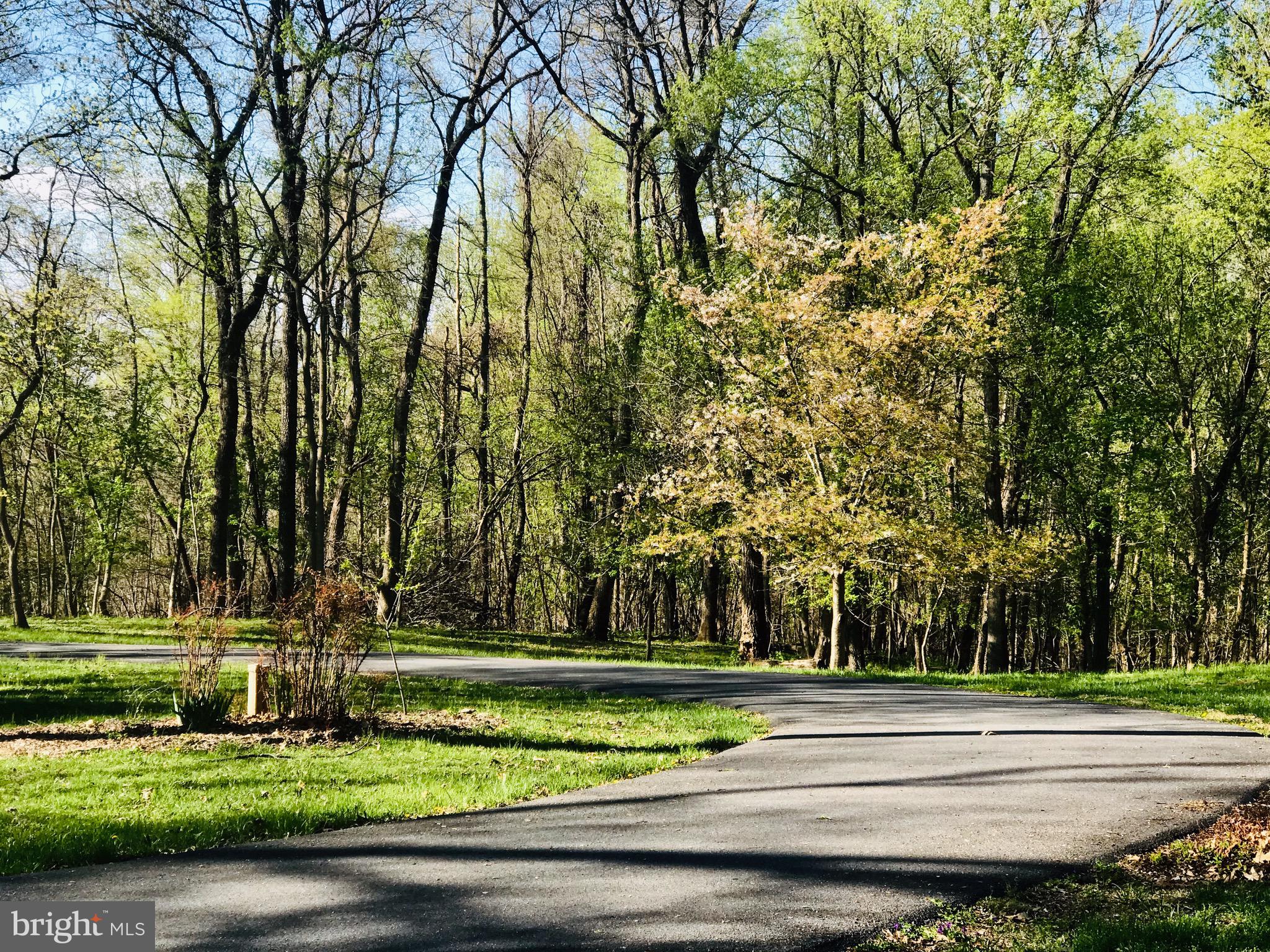 289 Rabbits Rest Lane Shepherdstown, WV 25443 - Photo 54 of 57 Circular driveway provides ample parking