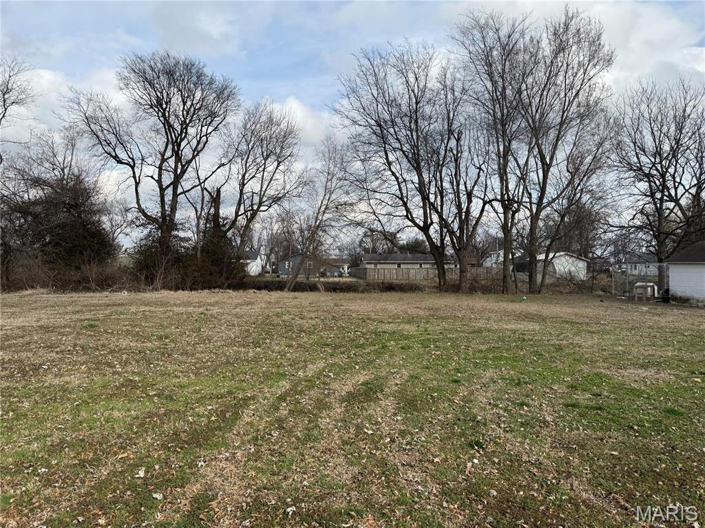 448 Crowe Street Sikeston, MO 63801 - Photo 8 of 9
