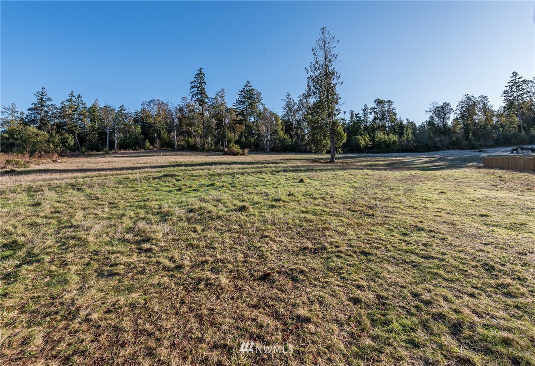 483 Hardwick Road Sequim, WA 98382 - Photo 19 of 34 Gallery Image 19