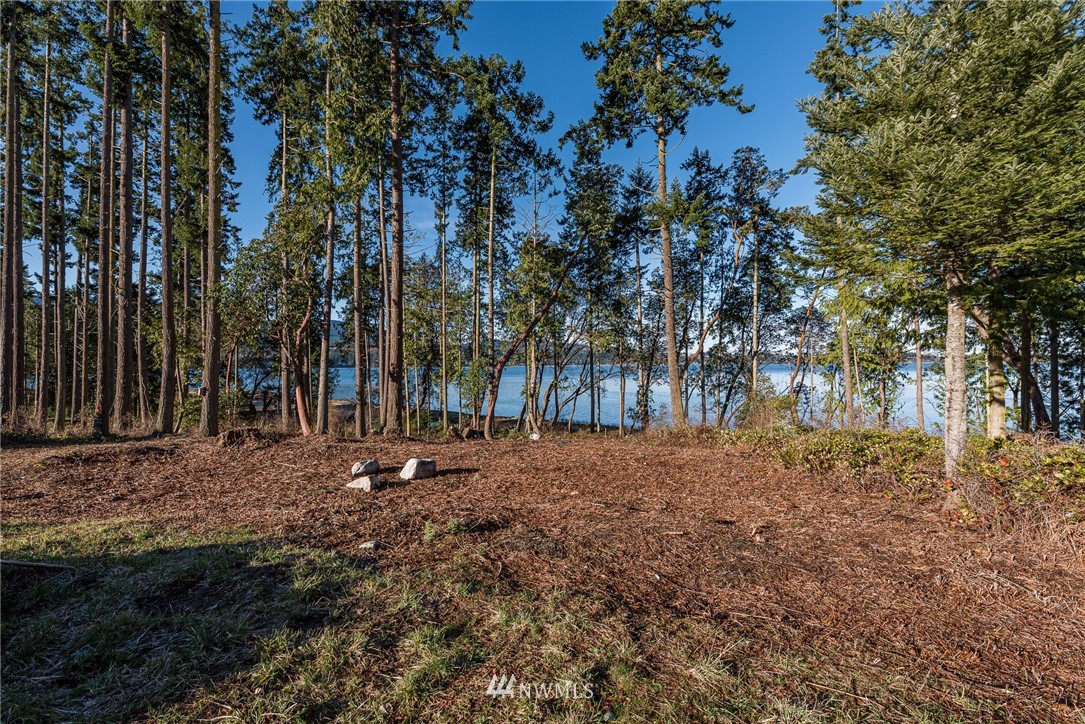 483 Hardwick Road Sequim, WA 98382 - Photo 21 of 34 Gallery Image 21