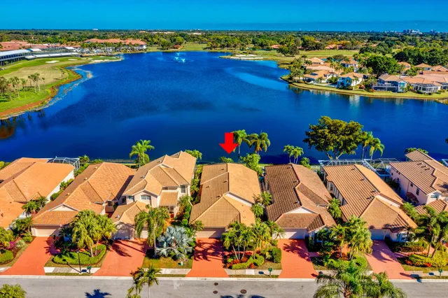 view of a tree with flower
