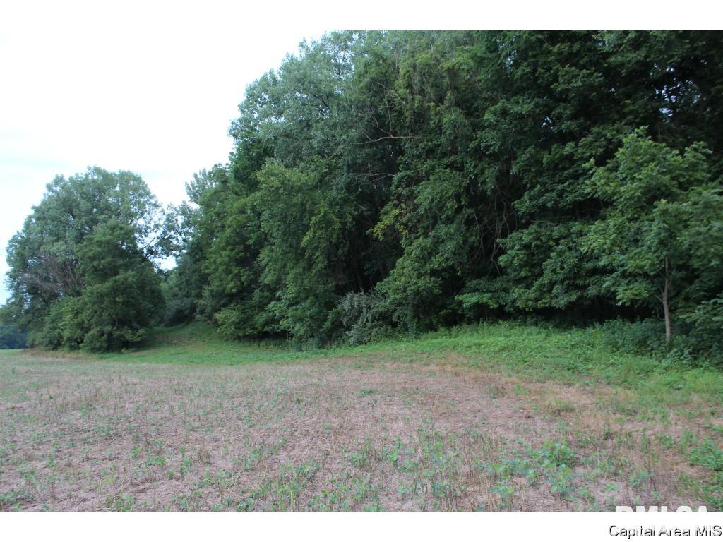 North Dirks Road Chandlerville, IL 62627 - Photo 11 of 13 Gallery Image 11