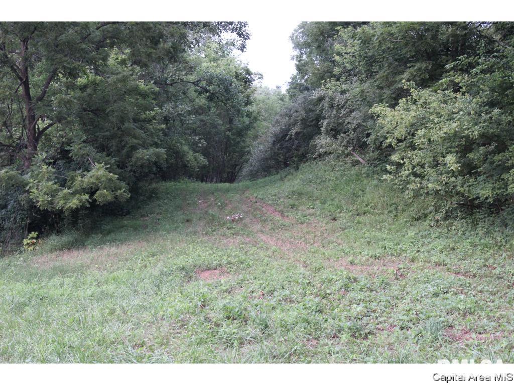 North Dirks Road Chandlerville, IL 62627 - Photo 12 of 13 Gallery Image 12