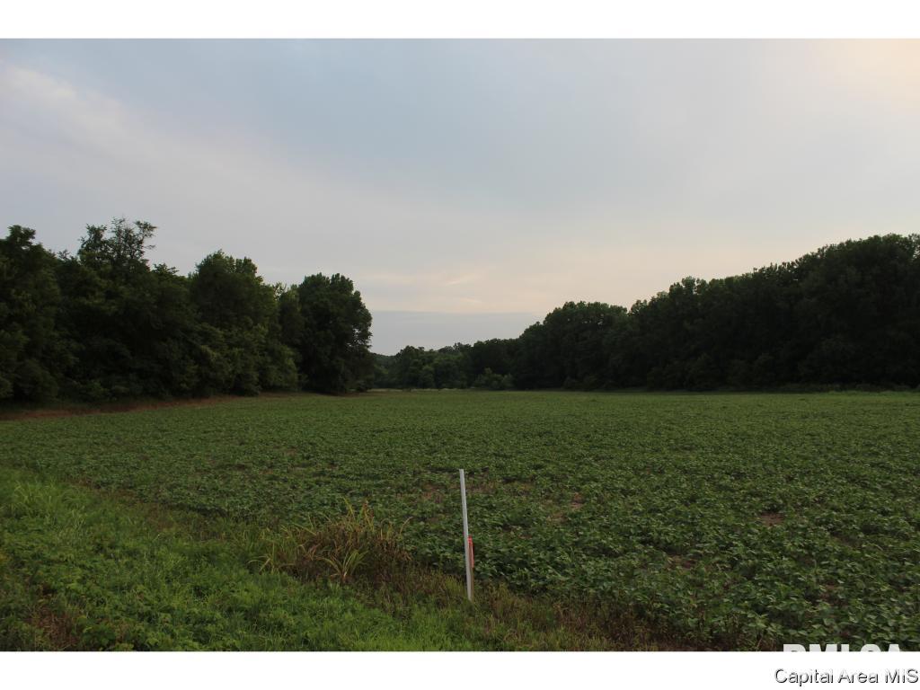 North Dirks Road Chandlerville, IL 62627 - Photo 8 of 13 Gallery Image 8