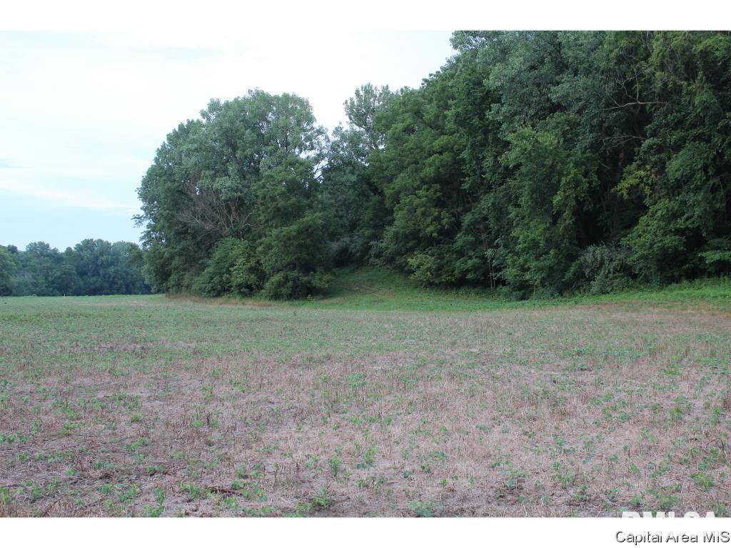 North Dirks Road Chandlerville, IL 62627 - Photo 9 of 13 Gallery Image 9