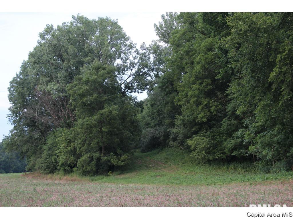 North Dirks Road Chandlerville, IL 62627 - Photo 10 of 13 Gallery Image 10