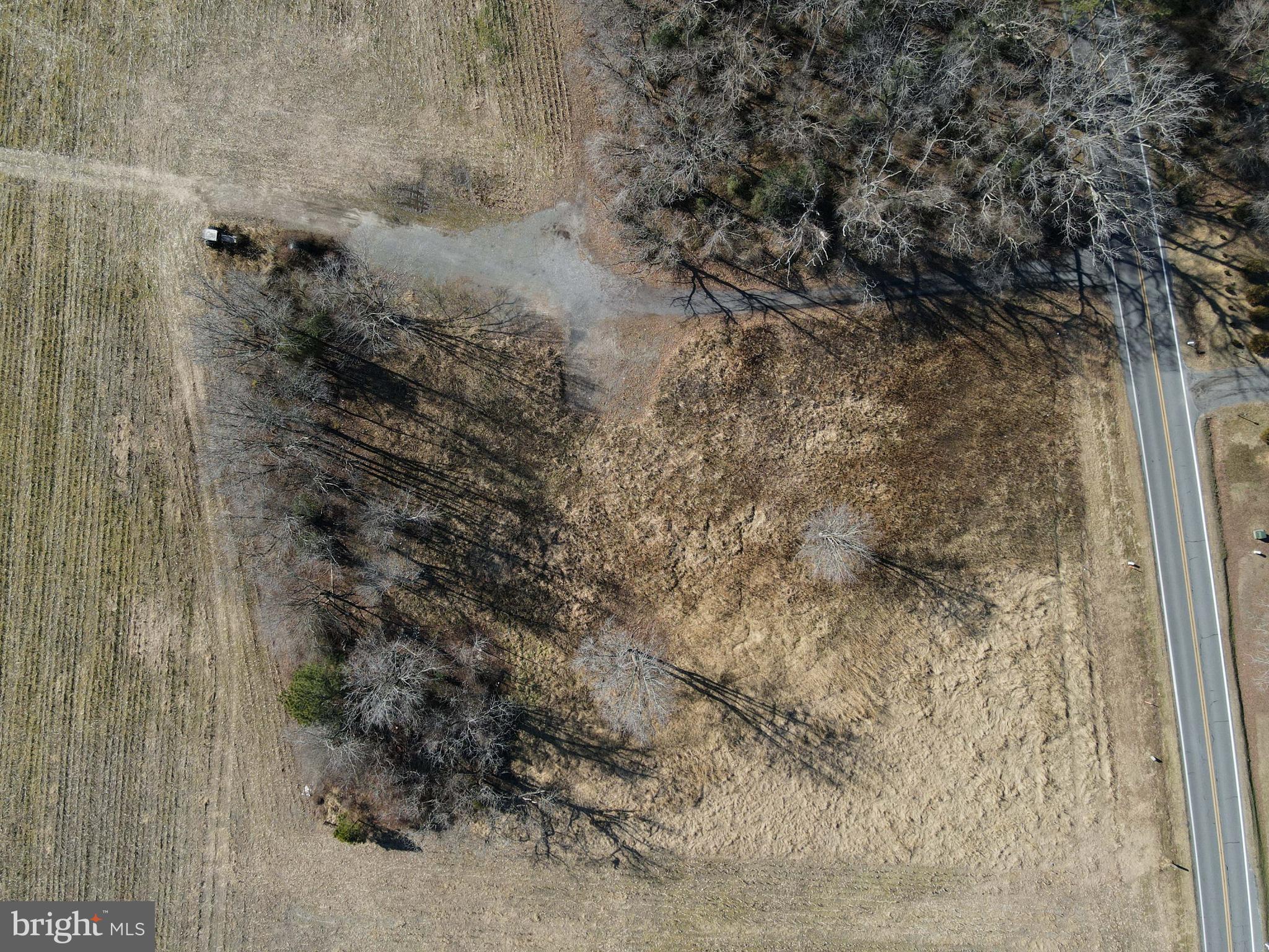 18648 Shiloh Church Road Georgetown, DE 19947 - Photo 5 of 6 a bathroom with a shower
