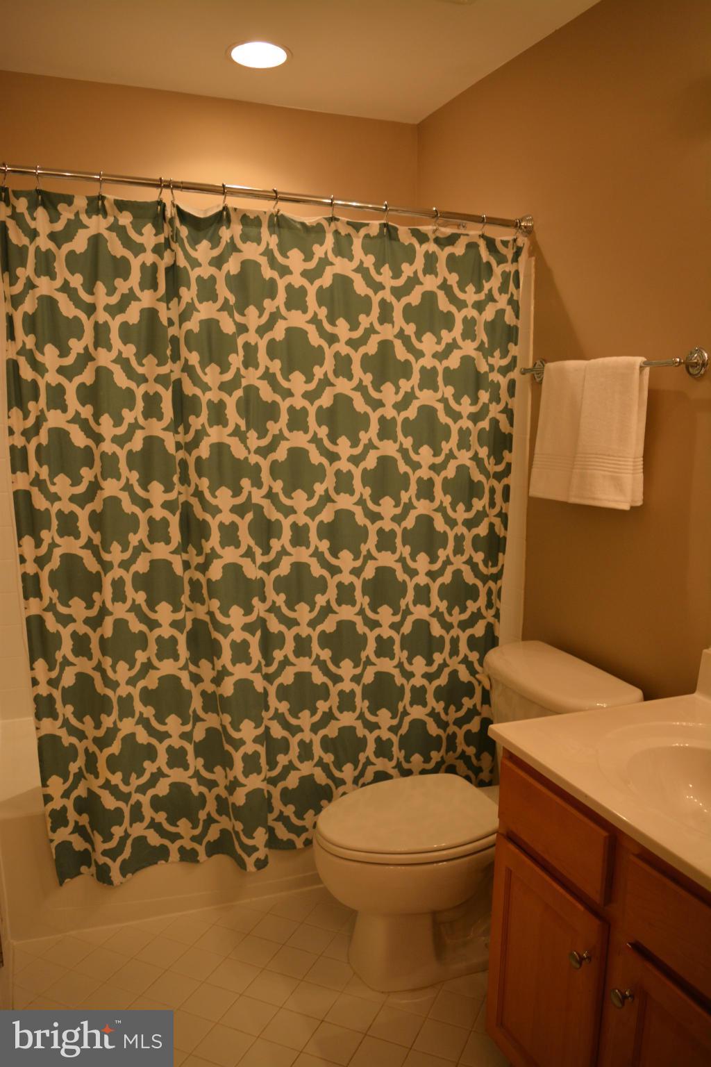 9205 Big Springs Loop Bristow, VA 20136 - Photo 13 of 29 Bath