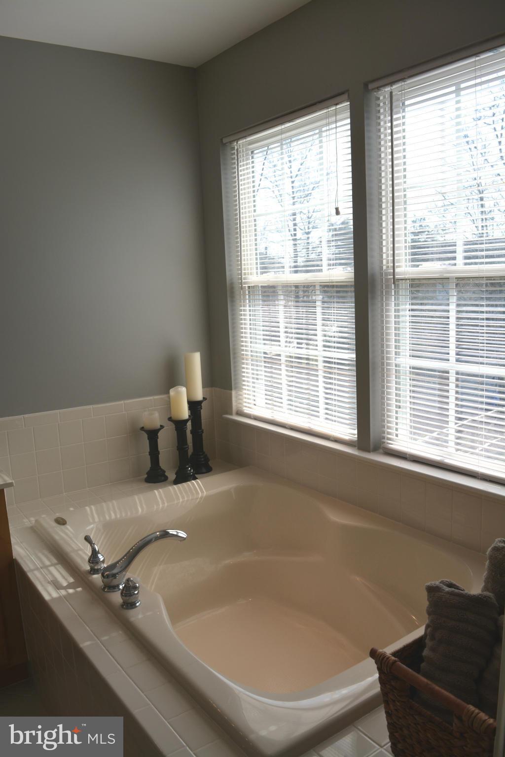 9205 Big Springs Loop Bristow, VA 20136 - Photo 20 of 29 Bath (Master)
