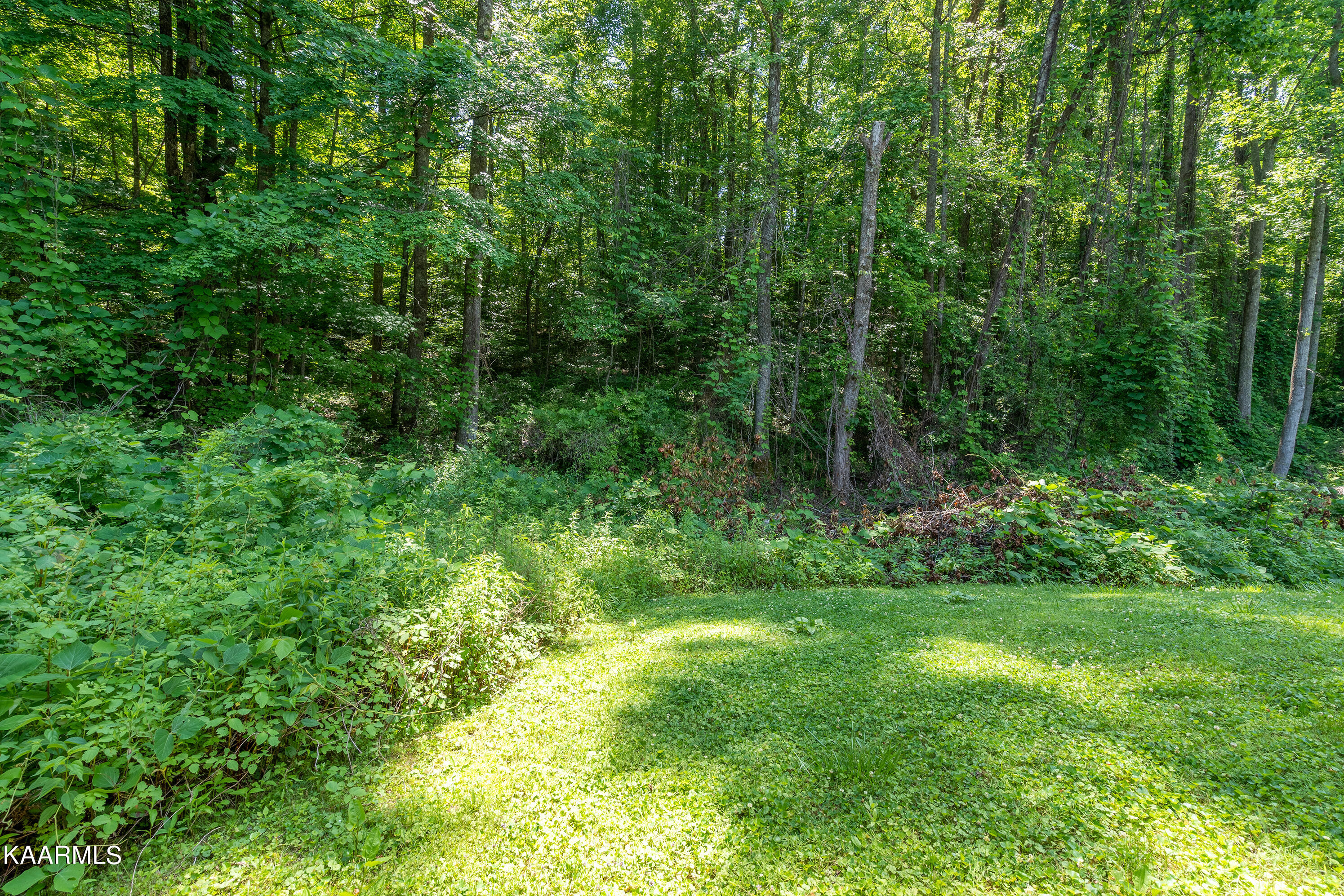 232 Shady Road Oliver Springs, TN 37840 - Photo 18 of 19 A7303659-HDR