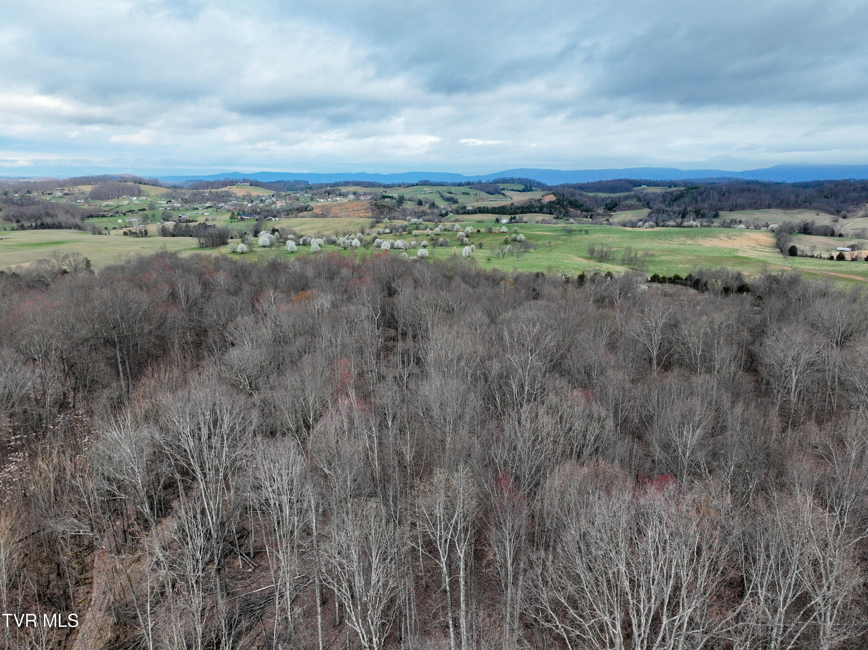 955 Old Hall Road, Unit 1 Chuckey, TN 37641 - Photo 23 of 31 955 Old Hall Rd Drone TROY-17