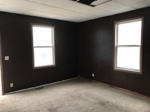 302 Olive Street Edwardsville, IL 62025 - Photo 2 of 16