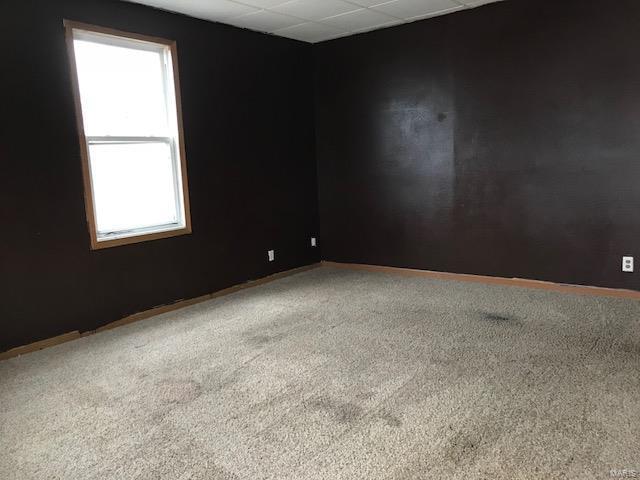 302 Olive Street Edwardsville, IL 62025 - Photo 3 of 16