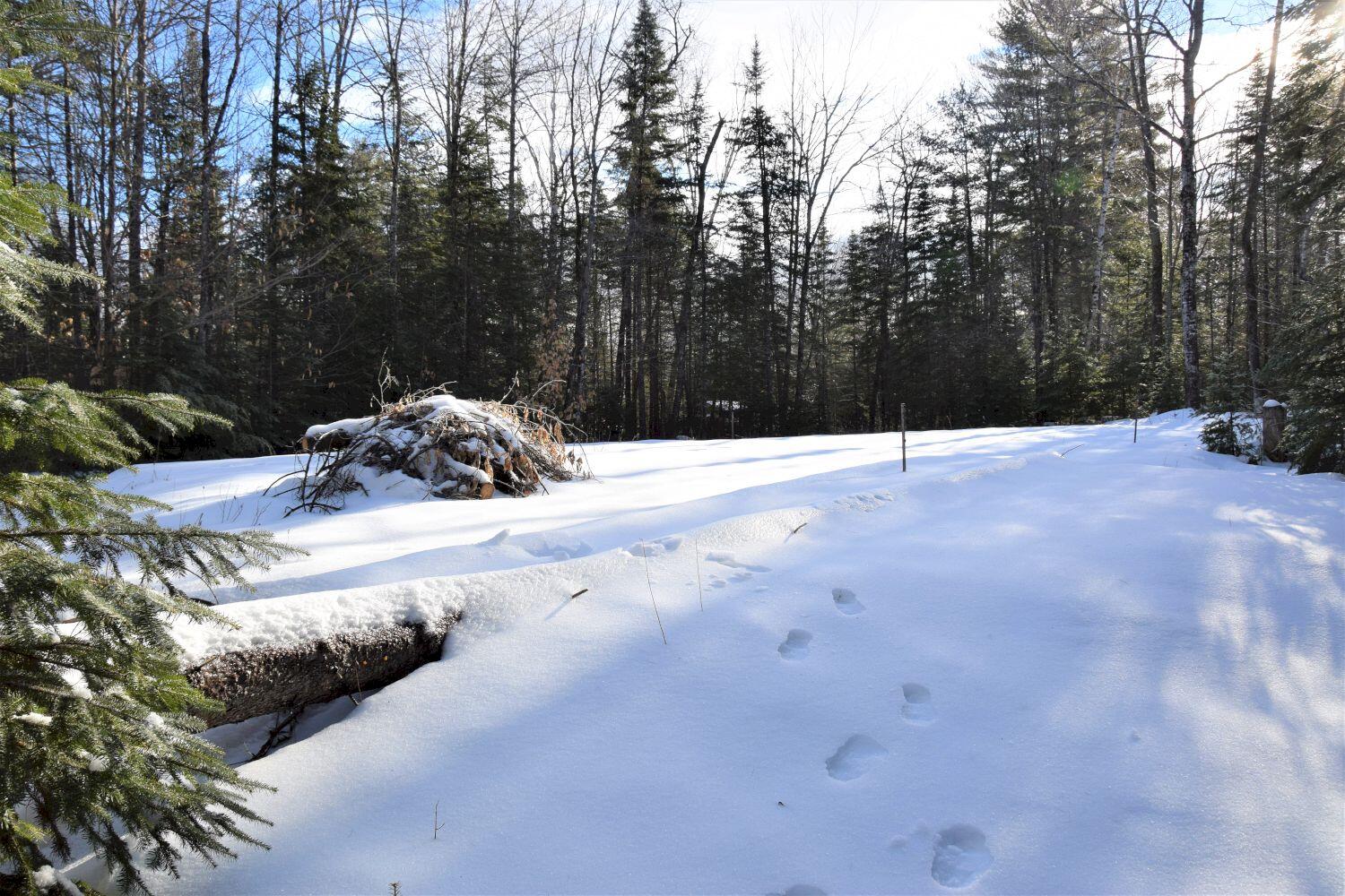 1754 Embden Pond Road Embden, ME 04958 - Photo 8 of 19 DSC_0011 (2)