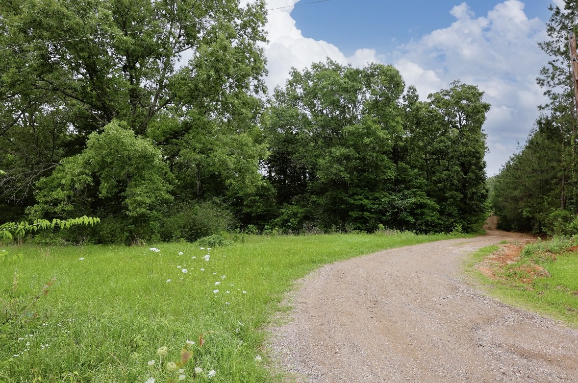 344 Attaberry Road Lufkin, TX 75901 - Photo 2 of 32 a view of a grassy field with trees
