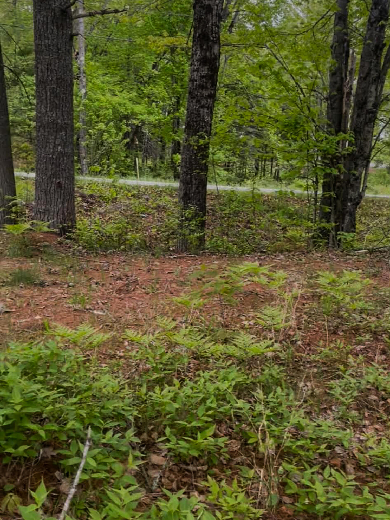 4422 Bennoch Road Alton, ME 04468 - Photo 8 of 11 26 Old County 7 Fox Run -9