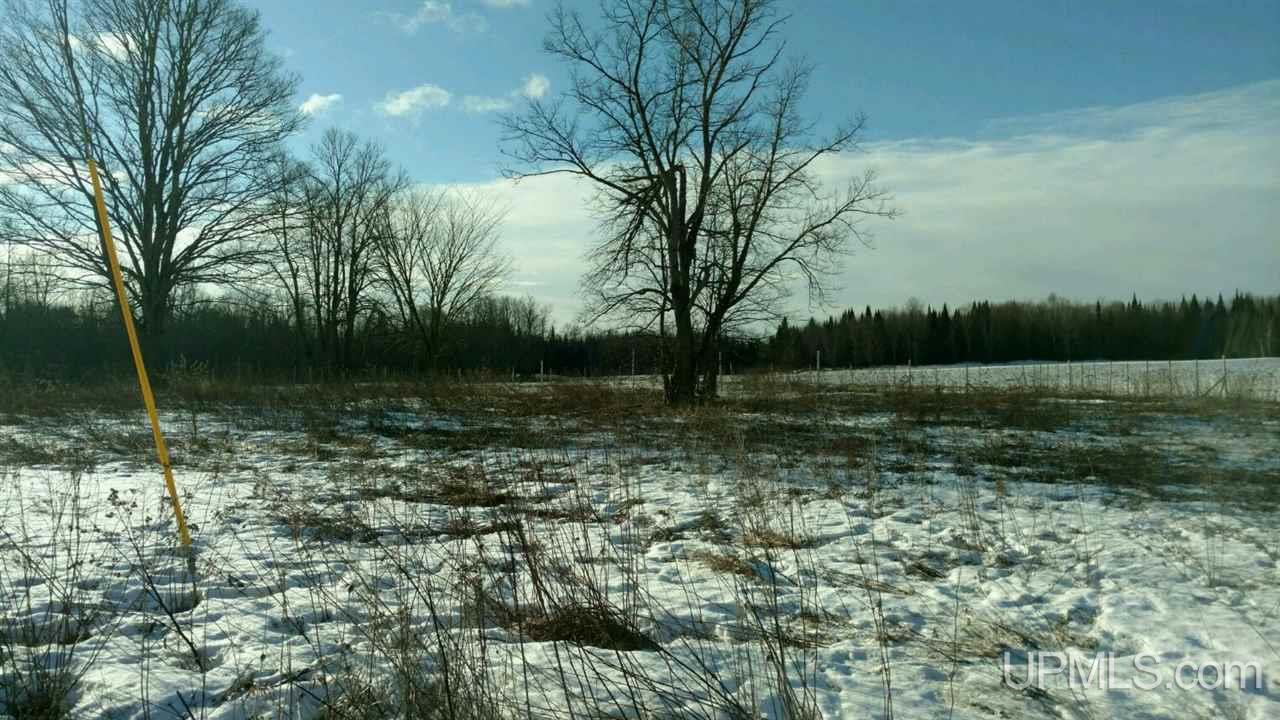 E4049 Trout Lake Road Chatham, MI 49816 - Photo 17 of 18 Gallery Image 17
