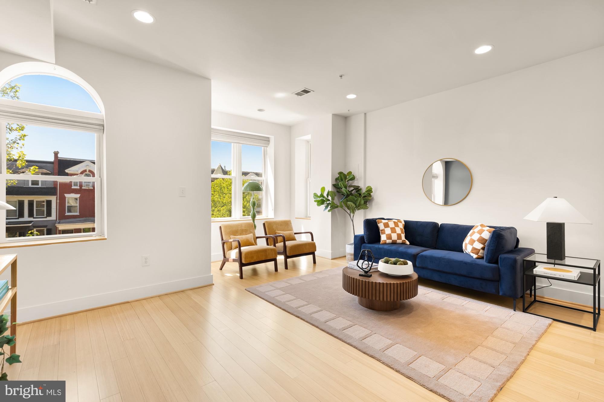 57 Bryant Street Northwest, Unit 2 Washington, DC 20001 - Photo 8 of 36 a living room with furniture and a potted plant