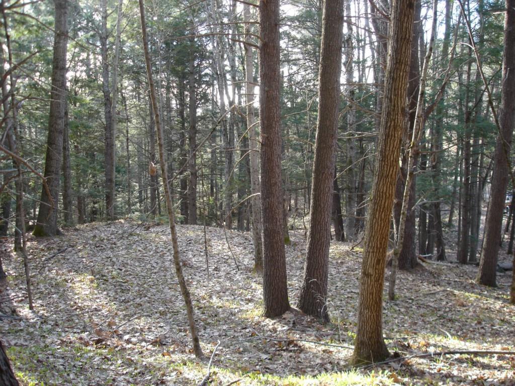 0 Buzzell Road Biddeford, ME 04005 - Photo 5 of 10 Photo