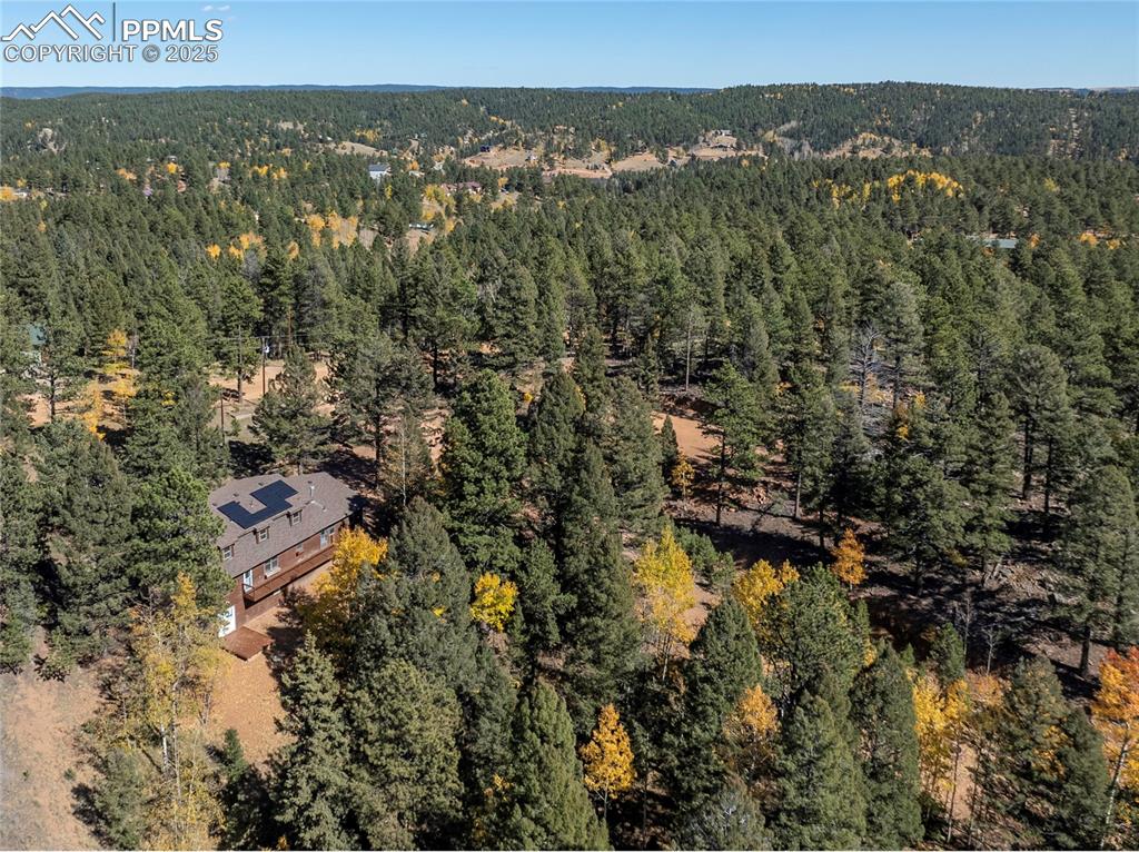 356 Spring Valley Drive Divide, CO 80814 - Photo 11 of 50 a view of city and mountain