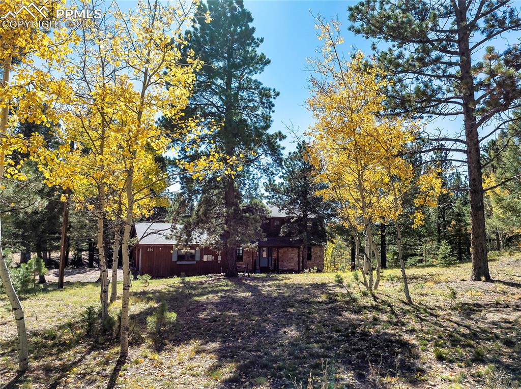 356 Spring Valley Drive Divide, CO 80814 - Photo 2 of 50 a view of house with trees in the background