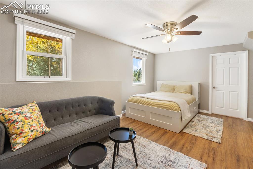 356 Spring Valley Drive Divide, CO 80814 - Photo 34 of 50 a bedroom with a bed and window