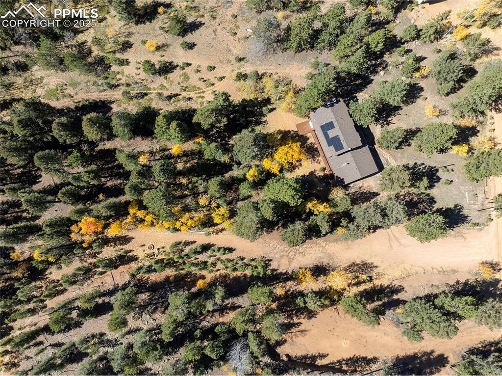 356 Spring Valley Drive Divide, CO 80814 - Photo 45 of 50 a view of outdoor space and covered with trees