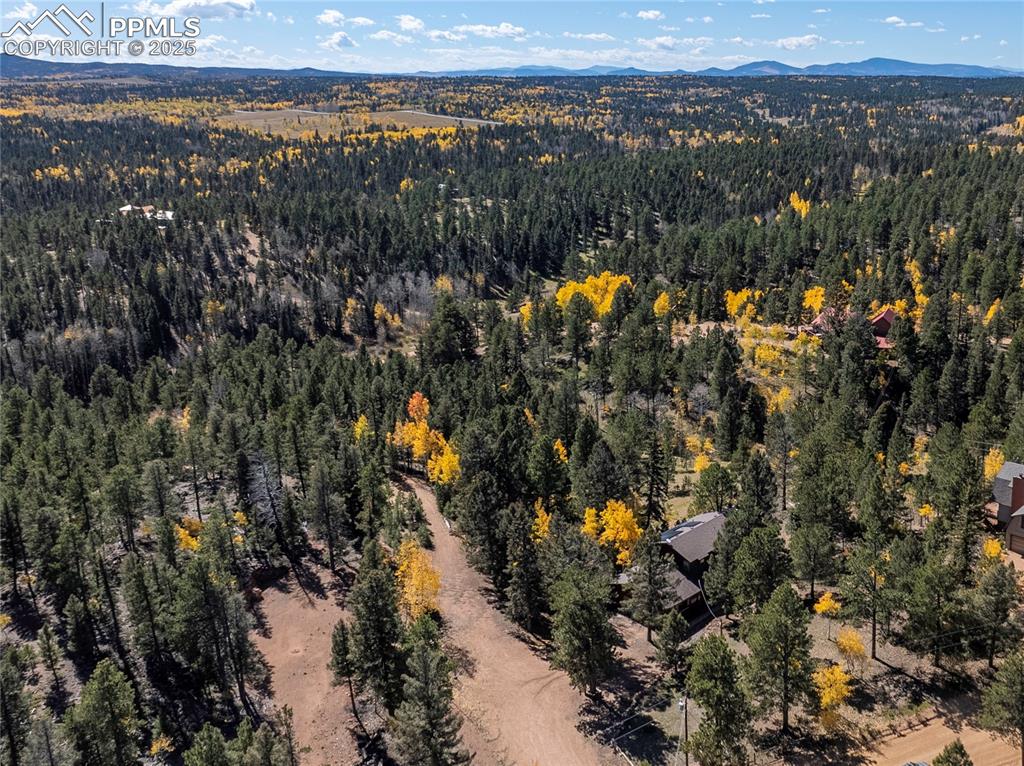 356 Spring Valley Drive Divide, CO 80814 - Photo 46 of 50 a view of a city