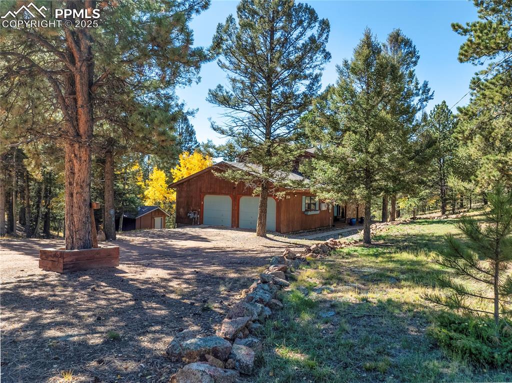 356 Spring Valley Drive Divide, CO 80814 - Photo 6 of 50 a yellow house in middle of a forest