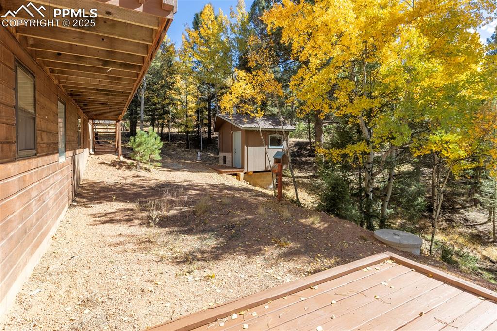 356 Spring Valley Drive Divide, CO 80814 - Photo 9 of 50 a view of a backyard