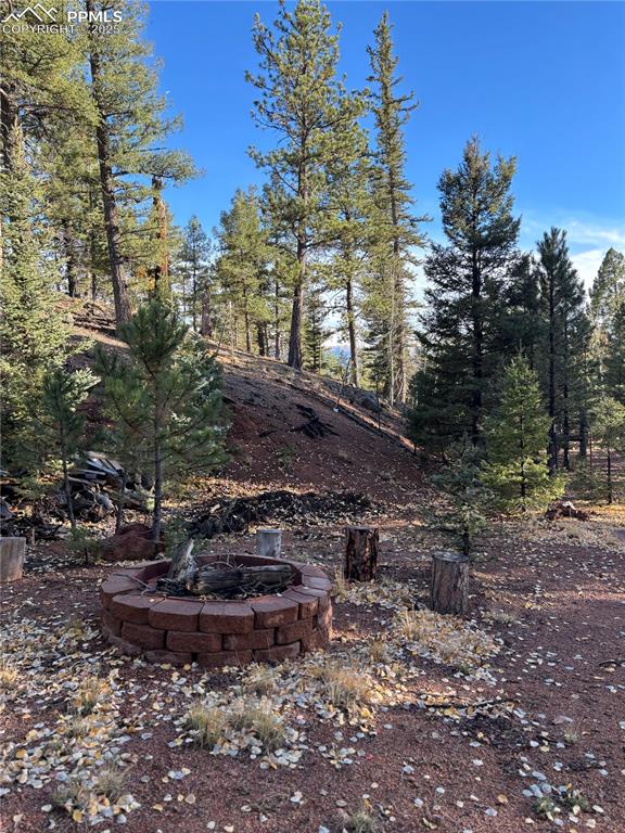356 Spring Valley Drive Divide, CO 80814 - Photo 10 of 50 a view of a fire pit with a yard