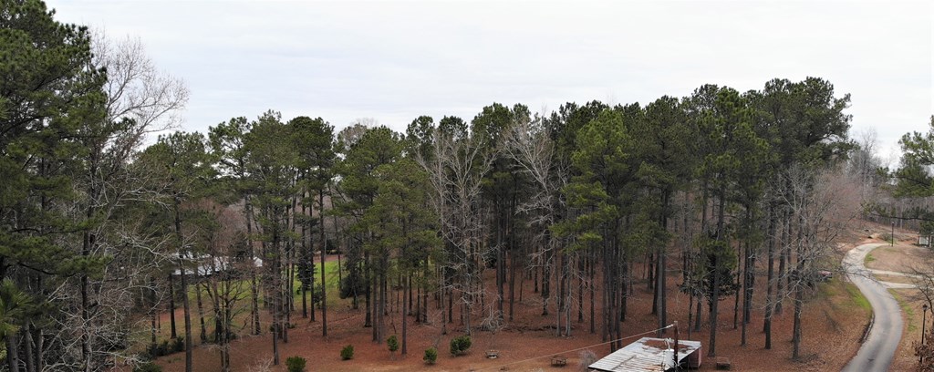 4321 Almond Road Fortson, GA 31808 - Photo 3 of 10 Gallery Image 3