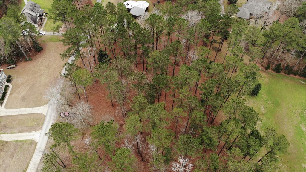 4321 Almond Road Fortson, GA 31808 - Photo 4 of 10 Gallery Image 4