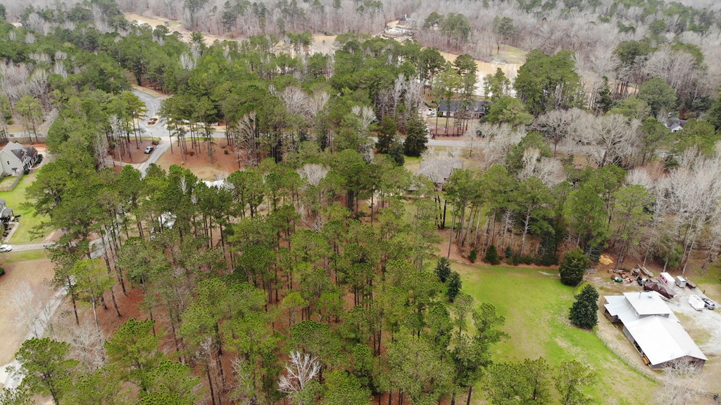 4321 Almond Road Fortson, GA 31808 - Photo 5 of 10 Gallery Image 5