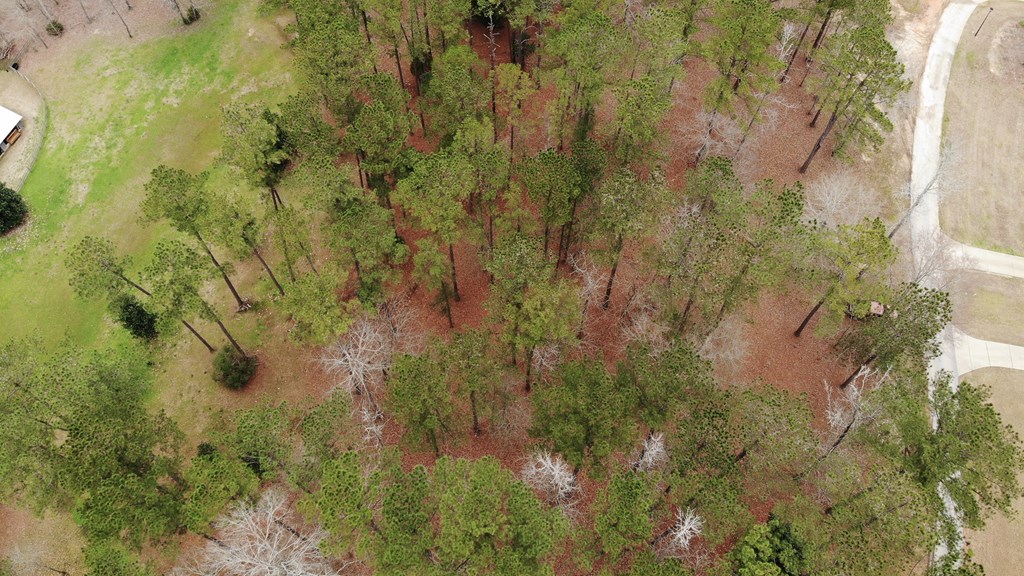 4321 Almond Road Fortson, GA 31808 - Photo 7 of 10 Gallery Image 7