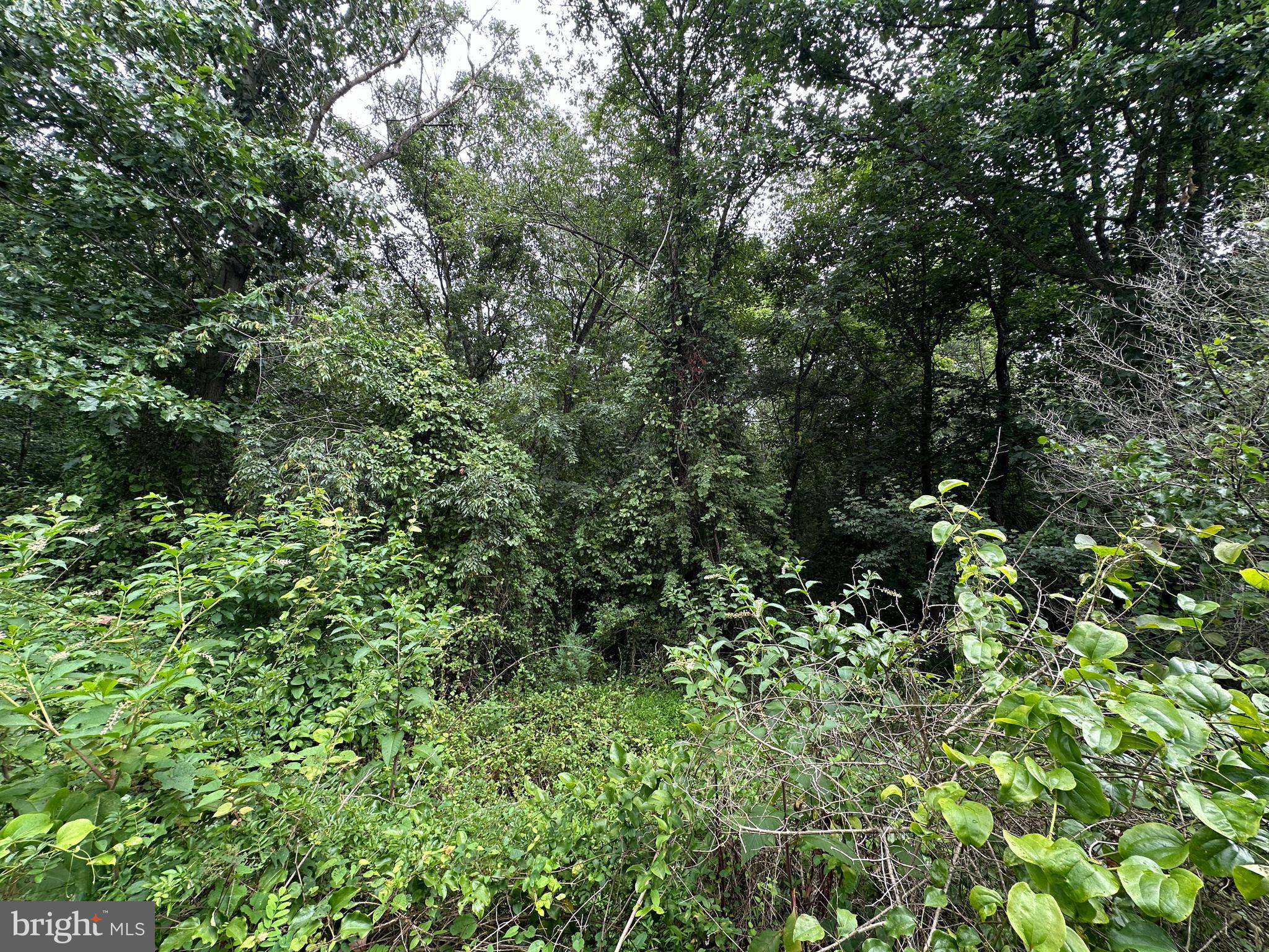 9-acres Polidor Road Waynesboro, PA 17268 - Photo 7 of 20
