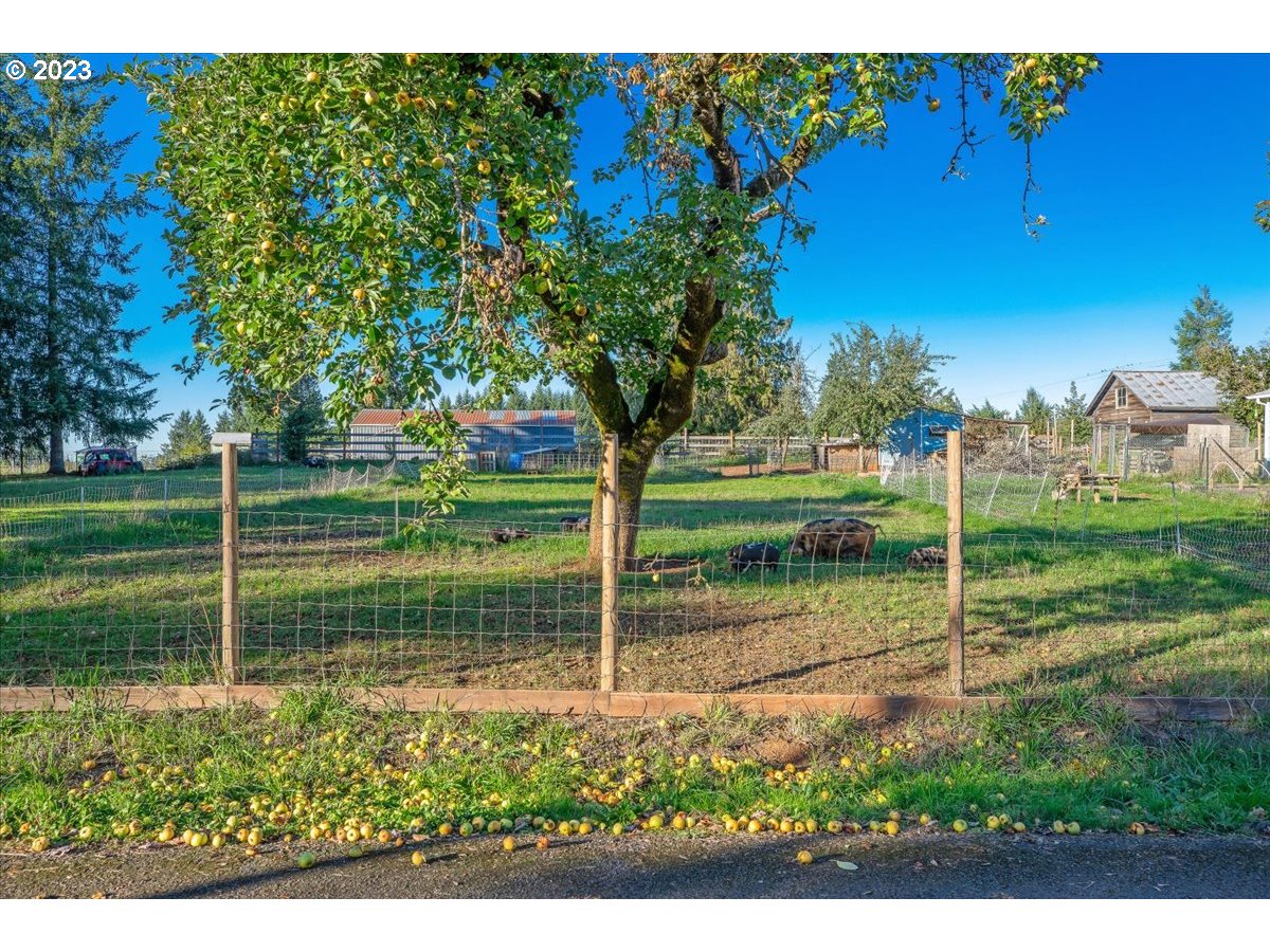 16983 South Williams Road Beavercreek, OR 97004 - Photo 22 of 24 Gallery Image 22