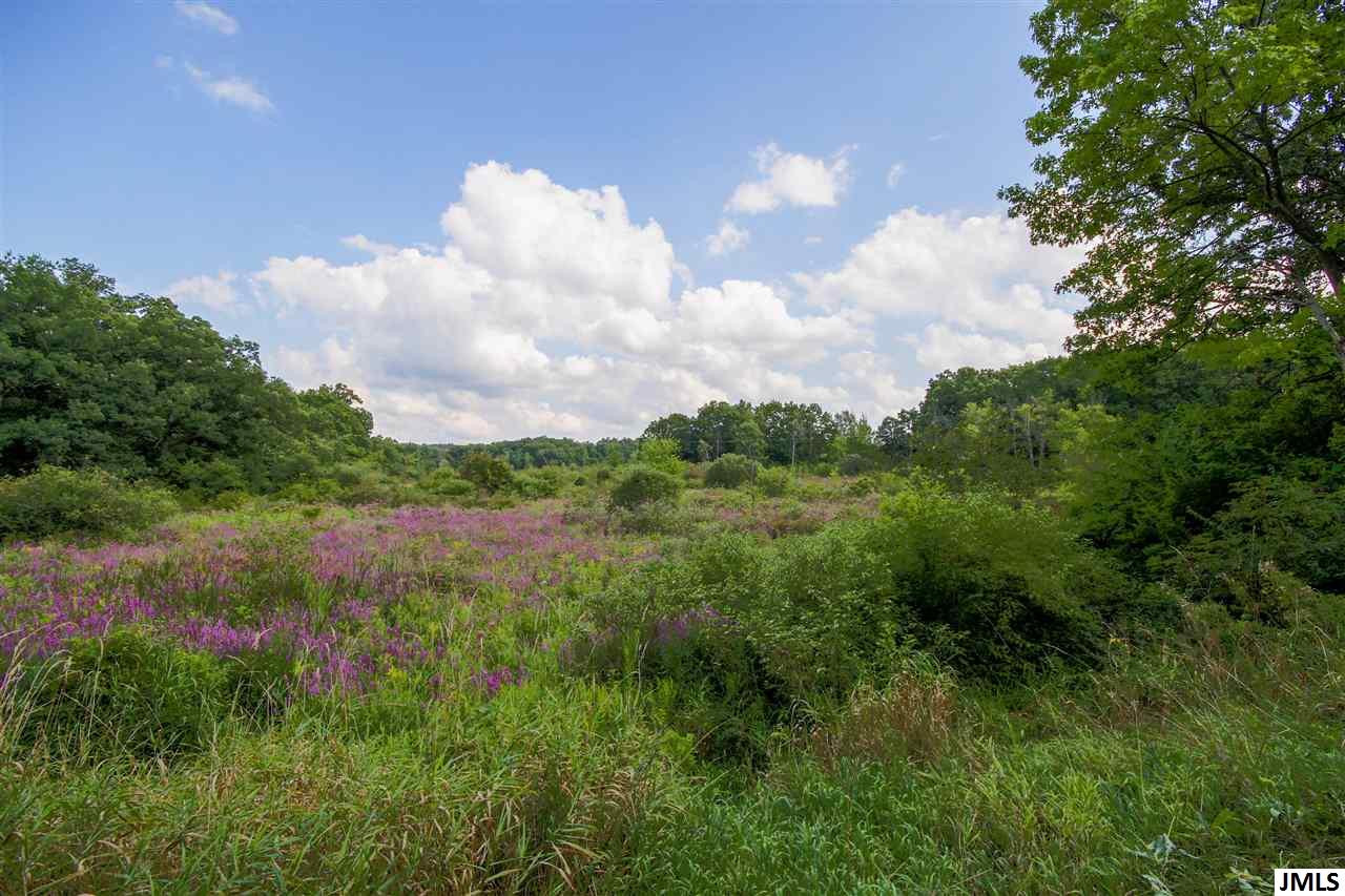 11789 Sutfin Road Jerome, MI 49249 - Photo 1 of 9 Photo 1