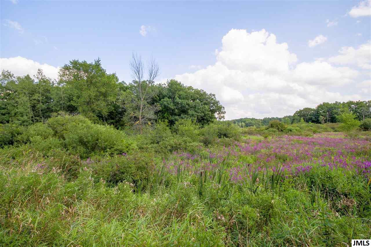 11789 Sutfin Road Jerome, MI 49249 - Photo 2 of 9 Photo 2