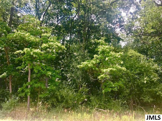 11789 Sutfin Road Jerome, MI 49249 - Photo 3 of 9 Photo 3