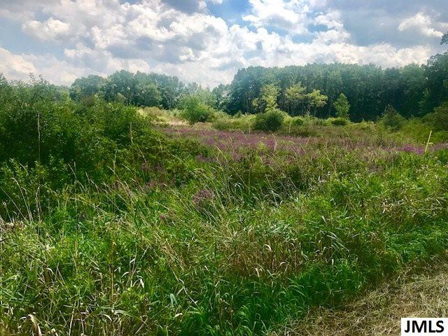 11789 Sutfin Road Jerome, MI 49249 - Photo 5 of 9 Photo 5
