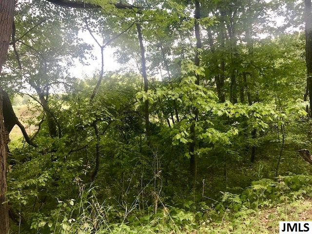 11789 Sutfin Road Jerome, MI 49249 - Photo 7 of 9 Photo 7