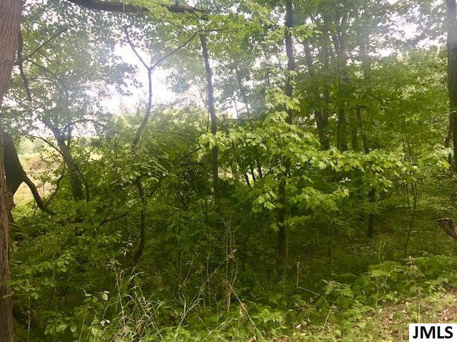 11789 Sutfin Road Jerome, MI 49249 - Photo 8 of 9 Photo 8