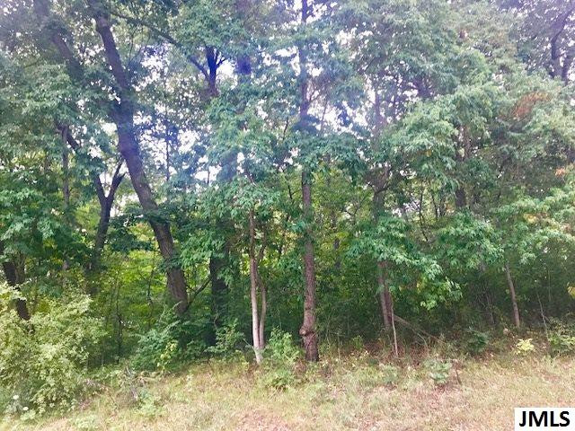 11789 Sutfin Road Jerome, MI 49249 - Photo 9 of 9 Photo 9