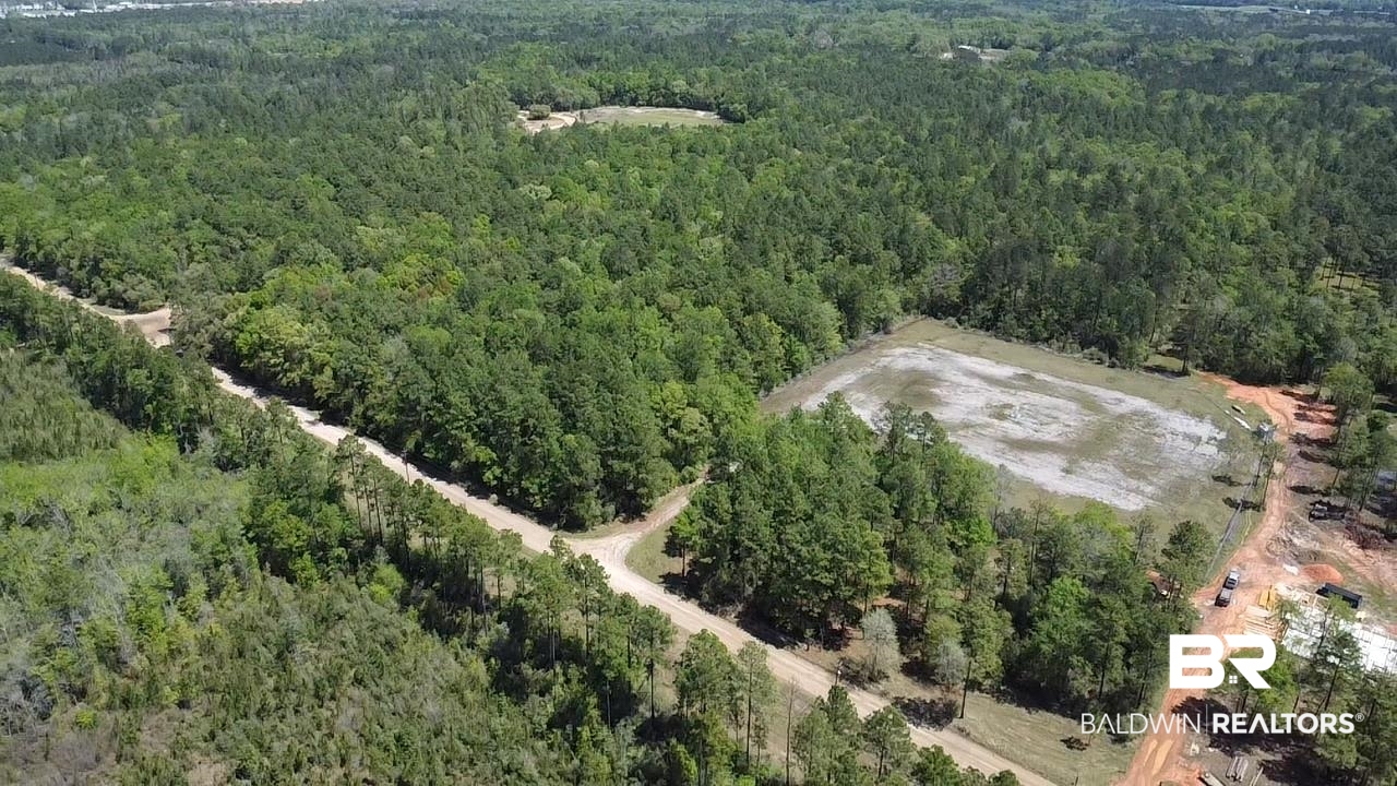 0 I-65 Service Road Creola, AL 36525 - Photo 19 of 20 Aerial view with a wooded view